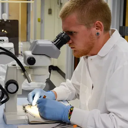 A student looks through a microscope